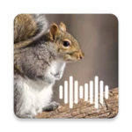 Logo of Squirrel Calls android Application 