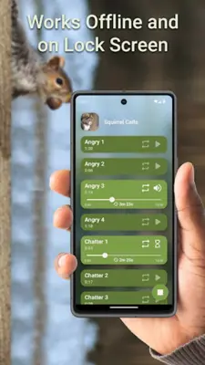 Squirrel Calls android App screenshot 0