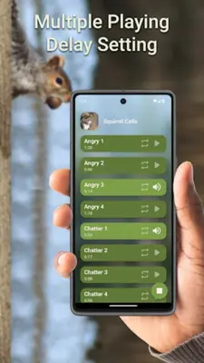 Squirrel Calls android App screenshot 1