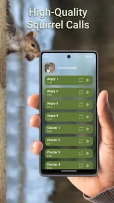 Squirrel Calls android App screenshot 2